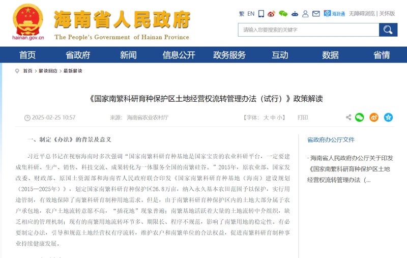 海口网站建设：构建企业在线品牌形象的新引擎